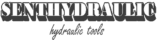 SENT LOGO